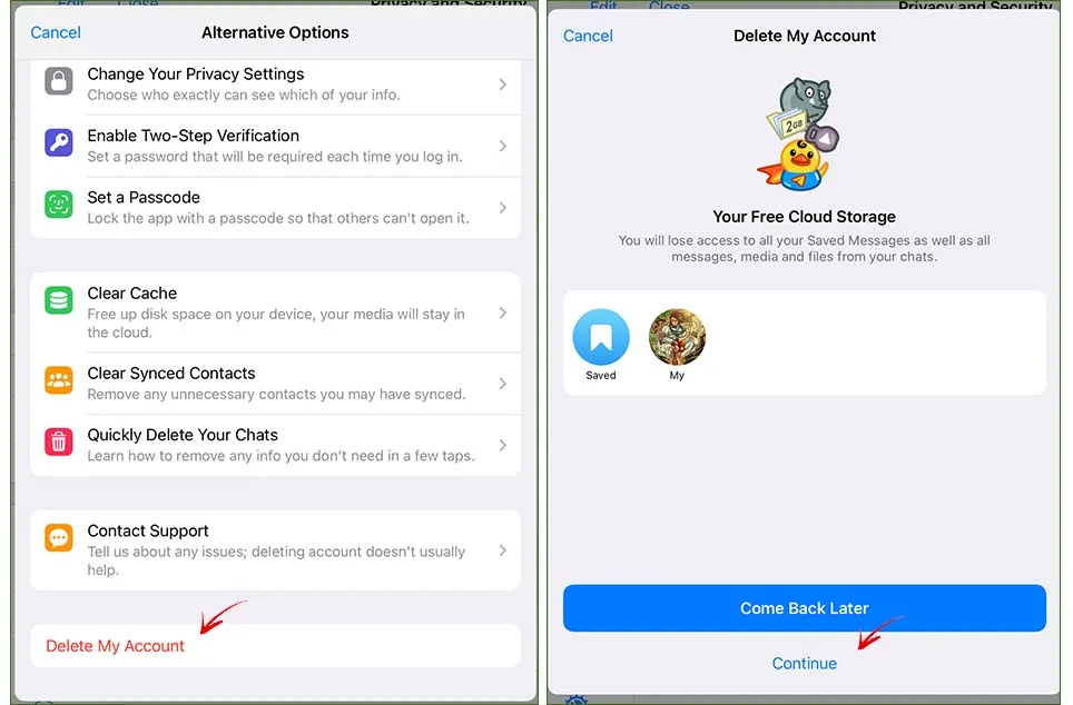 how to delete telegram account permanently instantly